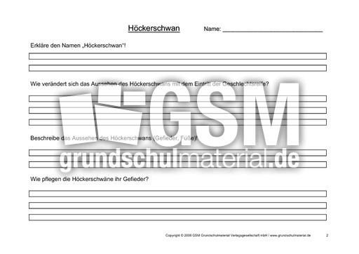 Arbeitsblatt-Höckerschwäne-2.pdf